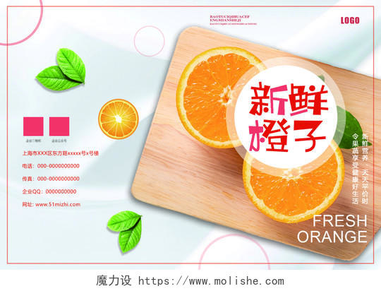 灰色简洁新鲜橙子水果宣传画册封面美食画册